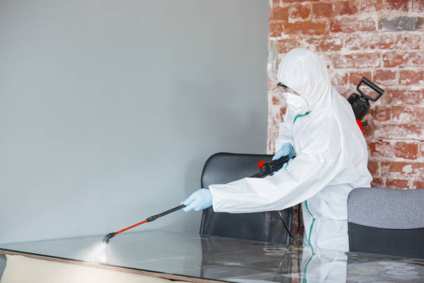 Best Residential Mold Inspection & Testing in Castle Shannon, PA